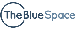 the blue space logo